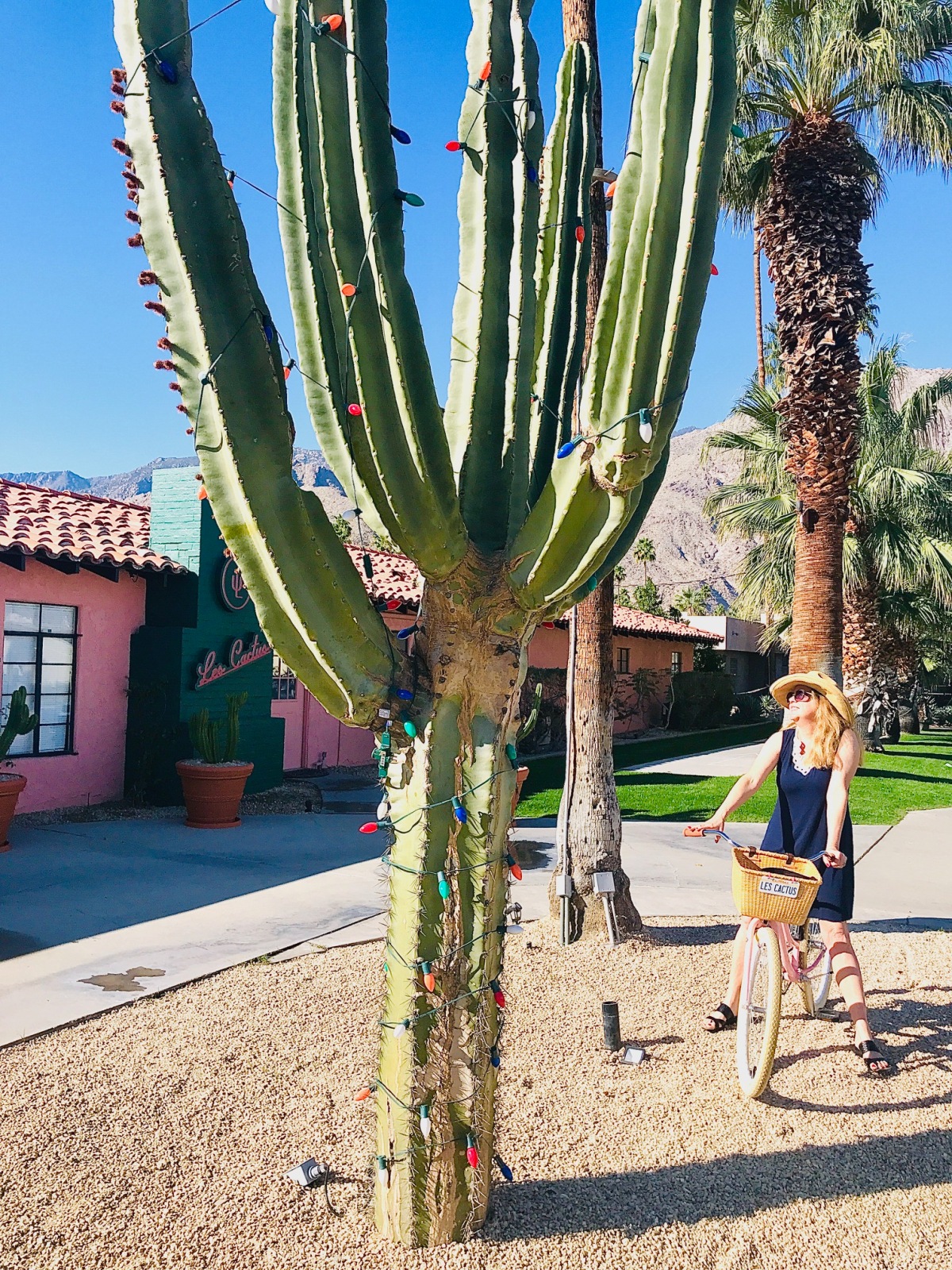 Les Cactus – Palm Springs newest resort